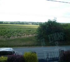 Vue de la suite parentale.(du bon vin..lol )