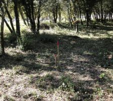 Limite arrière du terrai, qui se prolonge par une truffière, non constructible...