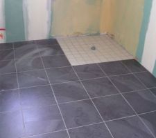Carrelage salle de bain