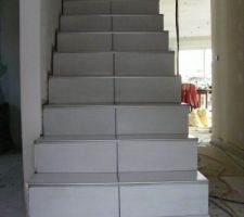 Carrelage escalier, quelle galère ! 3 marches = 1 journée ! mais alors quel rendu !!! :)