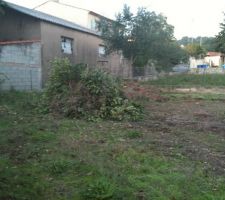 2 jours apr&eacute;s c'est tout ce qu on a ramass&eacute; !!!et c'est quasi tout propre reste plus qu a enlever tout ca !!!