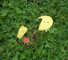 On nous a cass&eacute; une borne!!!