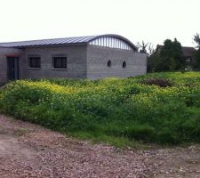 Profusion de mauvaises herbes