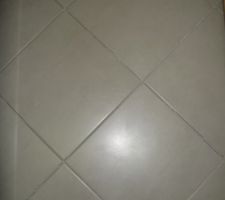 Carrelage des WC et SDE
31 x 31 cm de couleur gris très clair allant sur le Taupe