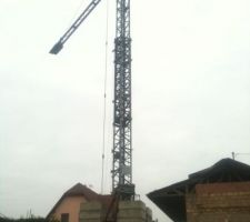 La grue, la très grande grue