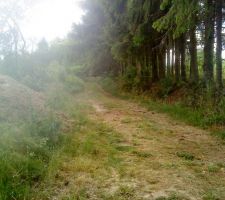 C'est le chemin communal de l'arriére du terrain