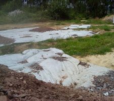 La plateforme prend forme