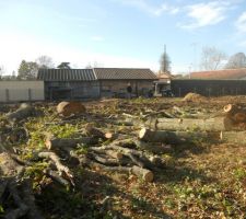 Dessouchage des arbres