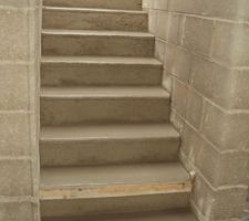 Escalier sous-sol / rdc