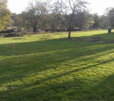 La maison sera l&agrave;....Et le prunier sera dans le salon...euh non...Ce prunier ,on esp&egrave;re le sauver en le d&eacute;pla&ccedil;ant mais il est imposant...