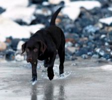 1e découverte de la mer : je ne renie pas mon instinct et je vais dans l'eau bien froide !