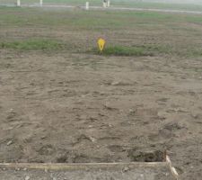 Vue entre l'all&eacute;e, la zone non constructible et notre terrain