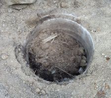 Petite surprise pendant l?évacuation de la terre