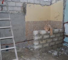 Salle de bain coin douche a l'italienne coin wc dans la chambre des parents