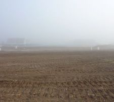 Aujourd'hui nous signons chez le notaire pour l'achat du terrain !
Nous venons voir avant s'il a bien été aplanit et s'il y a bien le bornage.