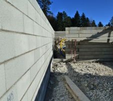 Porte d'accès au vide-sanitaire depuis la cave.