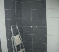 Carrelage douche Salle de bain