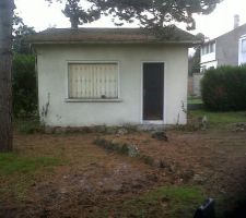 Ancienne remise &agrave; d&eacute;truire avec le Pin Autrichien &agrave; abattre (&agrave; gauche)