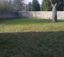 Gazon qui continue de pousser...