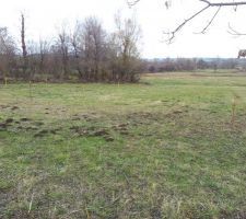 Implantation...enfin du concret!