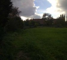 Terrain avant viabilisation