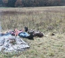 Apr&egrave;s le repas la sieste