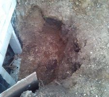 Preparation entr&eacute;e Vide sanitaire