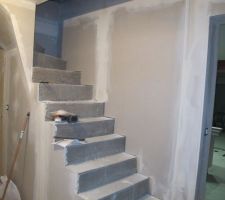 Montée d escalier probablement avec des marche et contre marche en bois..