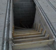 Vue sur l'escalier qui donne vers le sous-sol inondé... Merci Maison Bell...