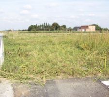 Premiers "travaux", d&eacute;frichage