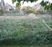 31/10/2011 - Implantation #1
