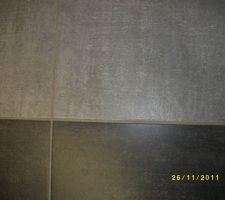 Carrelage gris clair pour la salle de bain.
carrelage gris foncé pour la piece à vivre et la cuisine
