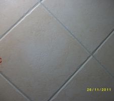 Carrelage en gr&egrave;s , palier   wc du haut