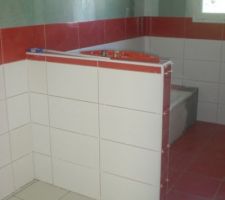 Muret separation SDB RDC