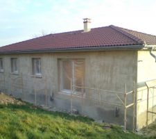 Sous couche du crepis