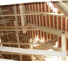 La pose des tuiles continue...
Les tuiles sont posées à même le bois sans sous-toiture (delta vent)...non conseillé par le commercial dommage....