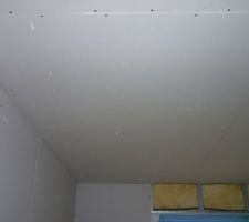 Le plafond, le doublage des murs est réalisé en plaques de Ba13. La pose se fait aussi en plaquant le placoplâtre sur le ferraillage et en le vissant.