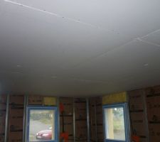 Tout est fait en plaques de Ba13 à l'exception de l'espace salle de bain sur les parties en contact avec de l'eau -paroies de la douche, baignoire et autour du plan vasque. Ces espaces sont réalisés en plaques hydrofuges qualité marine, pré-peintes en blanc également. C'est le coté en contact avec l'isolant qui est vert !