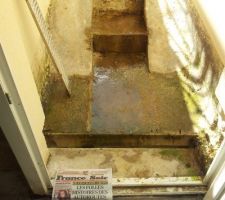 Fin du chantier Mi-juin, on est fin juillet...Voila le r&eacute;sultat d'une mauvaise mis en ?oeuvre... l'humidit&eacute; stagne et la verdure s'installe....

La maison est receptionnable d'apr&egrave;s le conducteur de travaux de MAISON BELL.

Merci MAISON BELL......