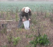 Ramassage des dernières carottes.
Il n'y a plus qu'a rembaler le matériel ... c'est fini pour aujourd'hui.