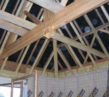 Plafond salon avec ferme apparente