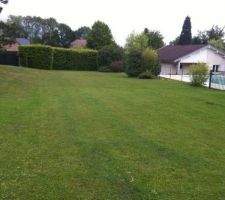 Vue en limite de propri&eacute;t&eacute;.
Garage et piscine d&eacute;ja existant