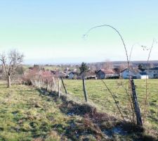 13 d&eacute;cembre 2010, le futur lotissement du Kirchacker qui est encore une paisible prairie.