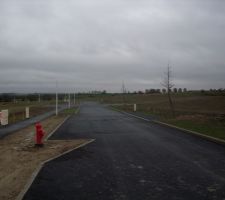 Les arbres et les lampadaires