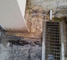 ATTENTION ICI ZONE DE BRICOLAGE !!!!

Sur la gauche en dessous de la dalle un tuyau &eacute;vacue l'eau du dessous de la premi&egrave;re dalle...puis a droite une pipette &eacute;vacue aussi l'eau qui vient du mur...

MAGNIFIQUE !!!!...