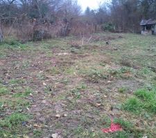 Piquets plant&eacute;s pour implantation