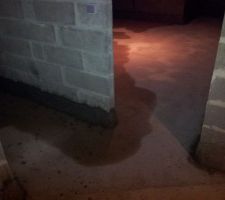 La Maison est au stade de r&eacute;ception mais pourtant l'eau est rentr&eacute; dans notre sous-sol....