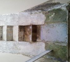 L'eau provient des 2 derni&egrave;re marches....
L'humidit&eacute; ponctuelle donnent une belle couleur verte sur le sol.....