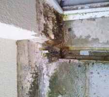 Zoom sur l'humidit&eacute; au niveau du seuil de la porte de service...
On aper&ccedil;oit une pissette a gauche pour &eacute;vacuer l'eau du mur...