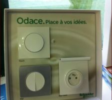 Odace de Schneider